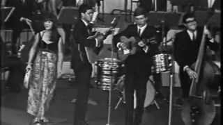 The Seekers We Shall Not Be Moved 1966