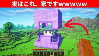 超簡単なシュルカーの家の作り方！プロでも驚く巨大建築