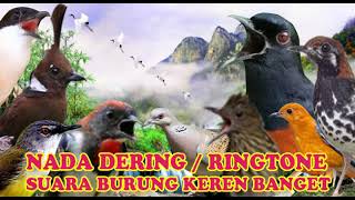 Download lagu KICAUAN LOVEBIRD NADA DERING||RINGTONE SUARA BURUNG MERDU BANGET SUARA JERNIH mp3