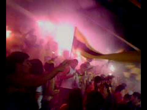 Os tigres - Criciuma 3 x 0 Tupi