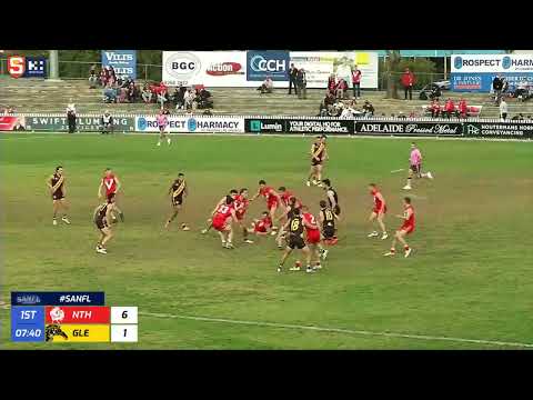 Rd 15 Hostplus SANFL Snapshot - Glenelg's Billy Stretch swings it though