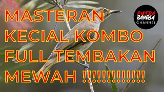 Download lagu Masteran KECIAL KOMBO MEWAH...KUNTI,CIBLEK SAWAH,LINET,CIBLEK NGEBREN mp3 Download lagu Masteran KECIAL KOMBO MEWAH...KUNTI,CIBLEK SAWAH,LINET,CIBLEK NGEBREN mp3