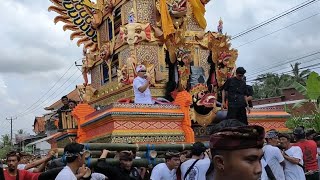 Download lagu PUNCAK KARYA PELEBON I GUSTI NGURAH ALIT YUDHA PURI NGURAH RAI CARANGSARI, BADUNG, BALI, 2023 mp3 Download lagu PUNCAK KARYA PELEBON I GUSTI NGURAH ALIT YUDHA PURI NGURAH RAI CARANGSARI, BADUNG, BALI, 2023 mp3