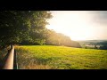 Bernward Koch – Irish Sun