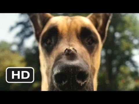 Marmaduke #4 Movie CLIP - Pretty Good Bee (2010) HD