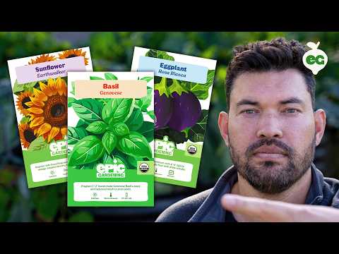 How to Transplant Seedlings My High Density Method