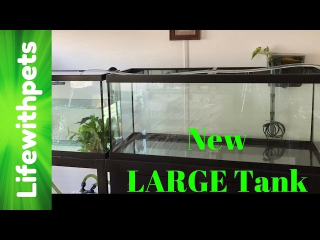 New 75 Gallon Tank Set Up (Part one)