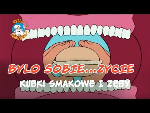 Bylo Sobie... Zycie 🌱 - Kubki smakowe i zęby 🦷
