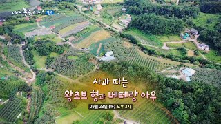 [예고_163회] 사과 따는 '왕초보 형'과 '베테랑 아우'