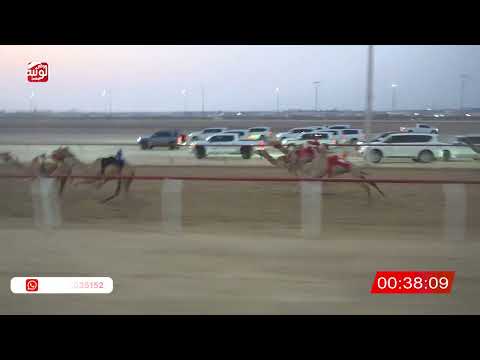 ش 1 (العنود) لـ غالب علي بن حمد الحافري 2:56:58 ، شارة الصندوق 2026/08/21 فطامين الوثبة