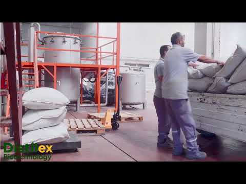 Fennel Oil Production Process | Distillation Stages for Obtaining Pure and Natural Oil