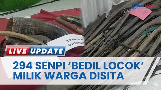 Bermula Indikasi Perburuan Badak Jawa, 294 Bedil Locok di Kawasan Ujung Kulon Disita Polda Banten