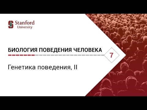 Биология поведения человека: Лекция #7. Генетика поведения, II [Роберт Сапольски, 2010. Стэнфорд]