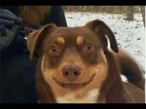 Jak Zapomnieć - Indecorum