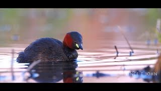 Nanhi Si Jaan (Hindi version) I 2.0 Movie I Remix Video Edit I Prince T John