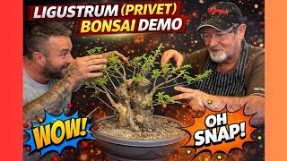 Ligustrum Bonsai Styling Demonstration | Robert Atkinson