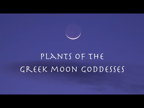 Plants of the Greek Moon Goddesses