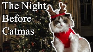 The Night Before Catmas (A Night Before Christmas Parody)