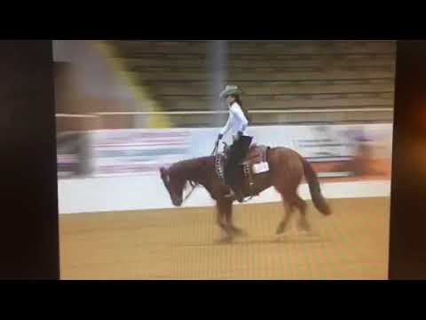 2018 SWRHA Futurity Rookie Challenge - Madison Gustin