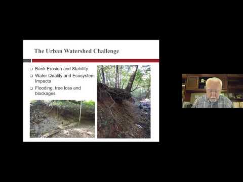 Stormwater Management 101: An Overview of Issues and Strategies