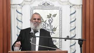 שקידת התורה | הרב דרור טוויל | שיחת פתיחה לזמן חורף תשפ"ו (ישיבת אפיקי דעת שדרות) - התמונה מוצגת ישירות מתוך אתר האינטרנט יוטיוב. זכויות היוצרים בתמונה שייכות ליוצרה. קישור קרדיט למקור התוכן נמצא בתוך דף הסרטון שקידת התורה | הרב דרור טוויל | שיחת פתיחה לזמן חורף תשפ"ו (ישיבת אפיקי דעת שדרות) - התמונה מוצגת ישירות מתוך אתר האינטרנט יוטיוב. זכויות היוצרים בתמונה שייכות ליוצרה. קישור קרדיט למקור התוכן נמצא בתוך דף הסרטון