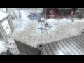 Short GamePlay Of BlackOps Machinima Bite Me