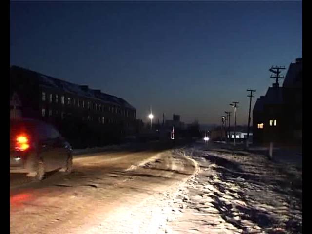 Стало ли ёлок больше?..   