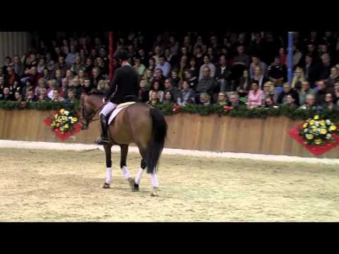 Antango - Sosath (Stallion Show 2014)