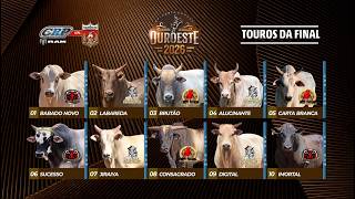 Rodeio de OUROESTE 2026 (S0RTEI0 / DOMINGO / SEMI FINAL)