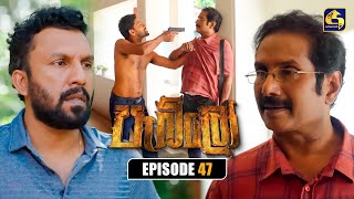 Pablo (පැබ්ලෝ) | Episode 47 | 18th October 2025 | Swarnavahini preview image