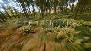 Enchanted Beech Tree's || CINEMATIC FPV DRONE 4K - (GoPro HERO 9)