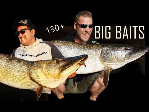 AJ King feat. BIG L -BIG BAIT /  Angel Rap Musik für Angler Rekord Hechte JÄGER