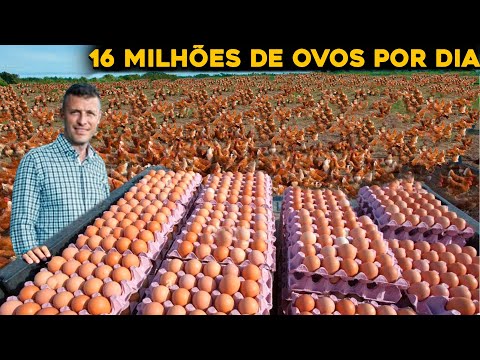 O BRASILEIRO QUE É O NOVO MAIOR PRODUTOR DE OVOS DO MUNDO