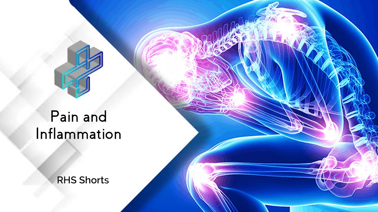 Pain & Inflammation - Michelle Thomas | Revitalize Health Solutions