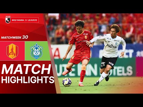 bg-highlight