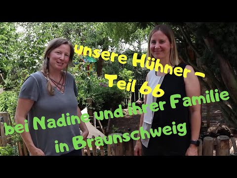 Teil 66: bei Nadine, ihrer Familie und ihren Orpingtons in Braunschweig