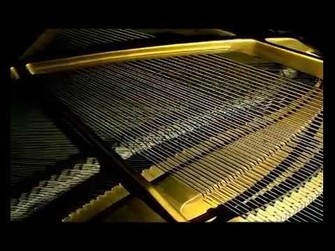 Quand Jesus dit Oui by Costa Manda