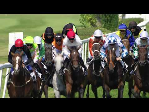 KV, 9. 8. 2020, 3. dostih - Cena PRIMO JOSEF CHEJN s.r.o.