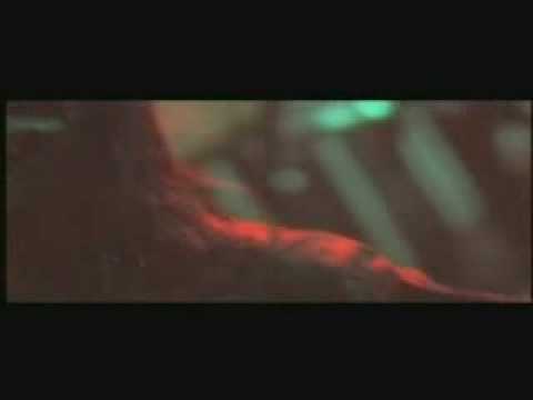 slipknot - Pulse Of The Maggots (live in tokyo)