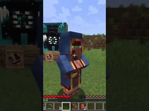 Villager Caught on Camera in Minecraft