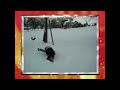 AFV Honourable Mentions Season 20 Episode 5