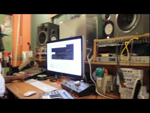 studio pine making tracks