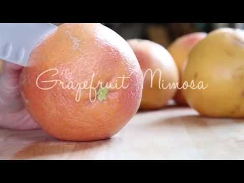 download lagu mp3 mp4 Mimosa Jelly Recipe, download lagu Mimosa Jelly Recipe gratis, unduh video klip Mimosa Jelly Recipe