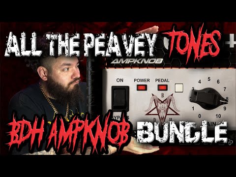 THE BEST PEAVEY TONES | Bogren Digital BDH Ampknobs
