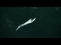 Top Gun Maverick 2022 Last Scene F 14 Vs Su 57 Dogfight Hindi Dubbed