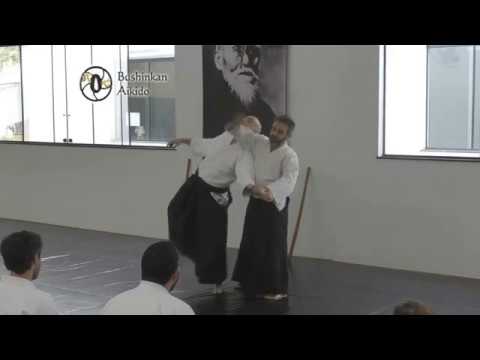 Aikido Bushinkan Ricardo Leite - Aikikai 7º Dan  - 16 / 09 / 2018
