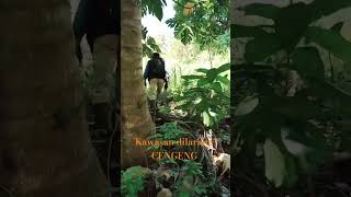 Download lagu Menjelah semak dan onak demi mendapatkan sebuah titik #ksapadi mp3