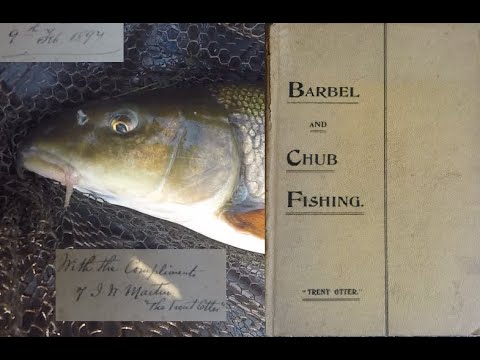 River Trent catchment summer barbel 2020 Patric Kyte