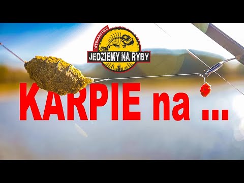 Carp on ... SPRING, not METHOD