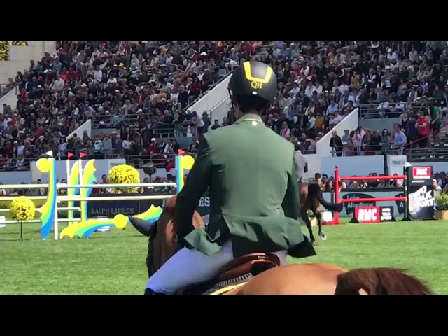 The half-brother of the grandmother is the CSI 1.50m and KWPN approved stallion Etoulon VDL with rider Jur Vrieling.